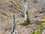 254 Ray Mine Road - Photo 4