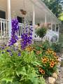 109 Paradise Circle - Photo 38