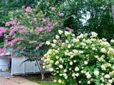 109 Paradise Circle - Photo 41