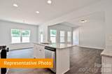 12004 Muscadine Court - Photo 15