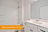 12004 Muscadine Court - Photo 5