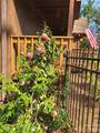 6880 Shade Tree Lane - Photo 48