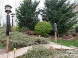 5 Timber Moss Drive - Photo 38