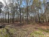 3271 Ebenezer Church Road - Photo 14