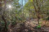 30 Stills Creek Loop - Photo 42