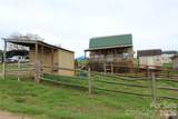 105 Filly Trail - Photo 32
