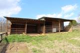 105 Filly Trail - Photo 41
