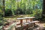 3434 Old Jonas Ridge Road - Photo 10