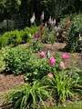 4027 Blossom Hill Drive - Photo 46