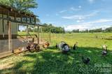16 School House Road - Photo 45