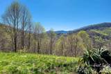 311 Pisgah Mine Road - Photo 16