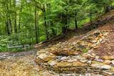 215 Goldenleaf Road - Photo 37