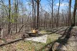 4203 Sunflower Court - Photo 30
