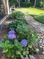 4231 Piaffe Avenue - Photo 5