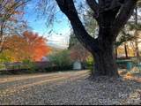203 Pine Street - Photo 42
