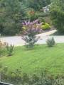 46 Carden Drive - Photo 41