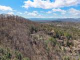 3501 Timber Trail - Photo 42