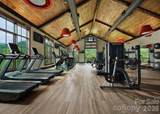 51 Bear Tree Cove - Photo 42