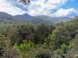 365 Duckback Trail - Photo 41