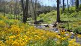 45 Sweet Fern Parkway - Photo 15
