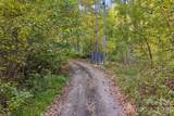1087 Turkey Creek Road - Photo 39