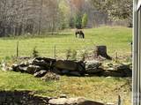 30 Grove Park - Photo 27