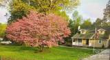 1411 Hensley Road - Photo 47