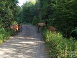 399 Bent Tree Road - Photo 38