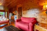 307 Blue Ridge Parkway - Photo 34