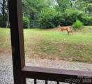 415 Treetop Lane - Photo 3