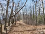 415 Treetop Lane - Photo 40