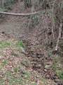6712 Globe Road - Photo 23