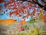 3 Taproot Trail - Photo 42