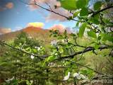 3 Taproot Trail - Photo 47