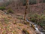 897 Dark Ridge Road - Photo 24