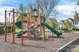 851 Brookdale Lane - Photo 43