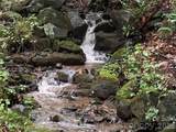 1022 Coweeta Gap Road - Photo 17