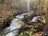 1022 Coweeta Gap Road - Photo 18