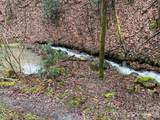 1022 Coweeta Gap Road - Photo 27