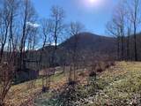 1022 Coweeta Gap Road - Photo 29