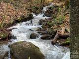 1022 Coweeta Gap Road - Photo 34