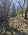 4675 Hickory Nut Ridge Road - Photo 21