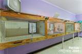 10560 Lake Royalle Road - Photo 19