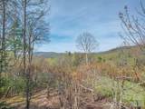 4 Wild Ivy Run - Photo 37