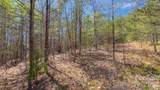 TBD Jobes Trail - Photo 18