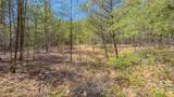 TBD Jobes Trail - Photo 19