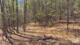TBD Jobes Trail - Photo 24