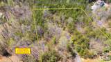 TBD Jobes Trail - Photo 8