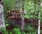 1359 Chestnut Grove Road - Photo 1