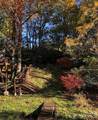 1359 Chestnut Grove Road - Photo 4